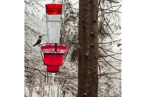 Warm Hummingbird Feeder Heater for Snowy Winter Outdoors