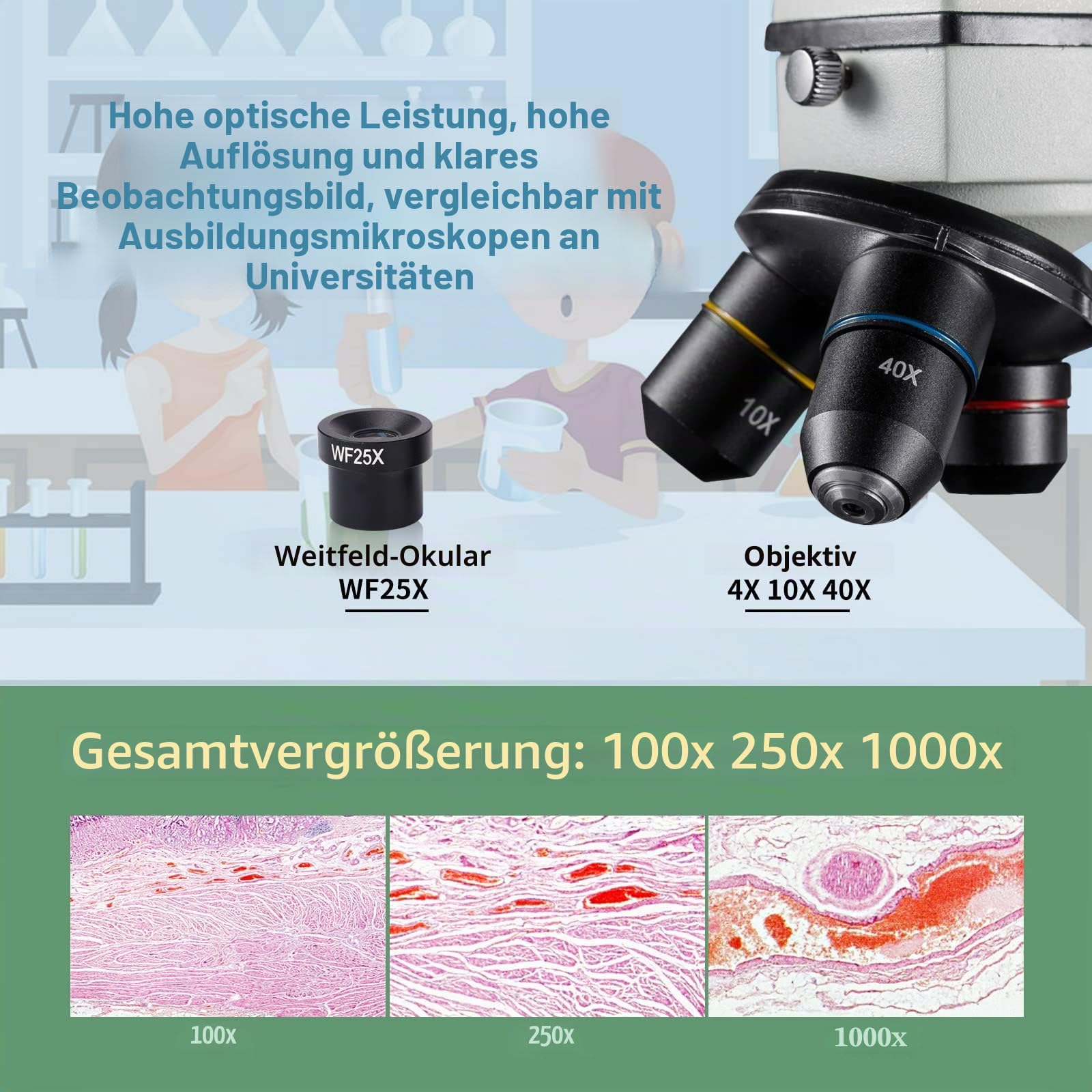 Mikroskop für Kinder und Erwachsene Geeignet - Durchlicht & Auflicht, mit Kreuztisch & Zubehör - Leistungsstarkes Biologie Mikroskop für Schule, Studium und Hobby