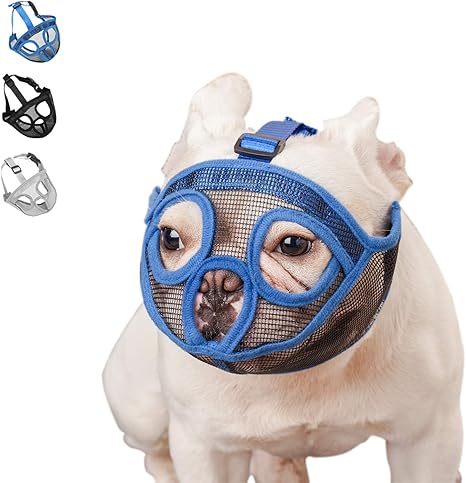 pug muzzle amazon