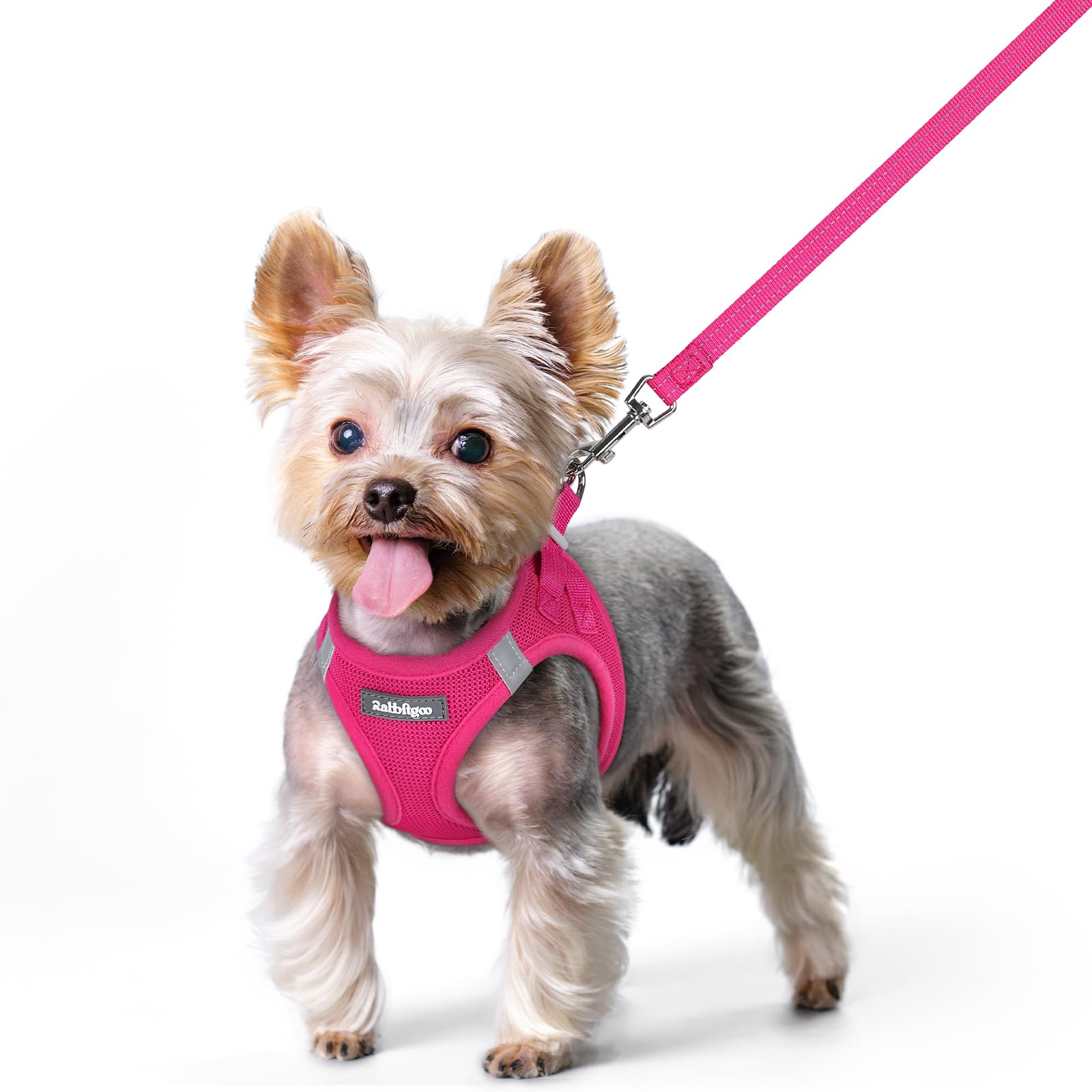 rabbitgoo Dog Harness Small Dog and Leash Set, Step-in Soft Mesh Puppy Harness with Reflective Strips, Lightweight Breathable Pet Vest for Walking Training, Hot Pink, XS