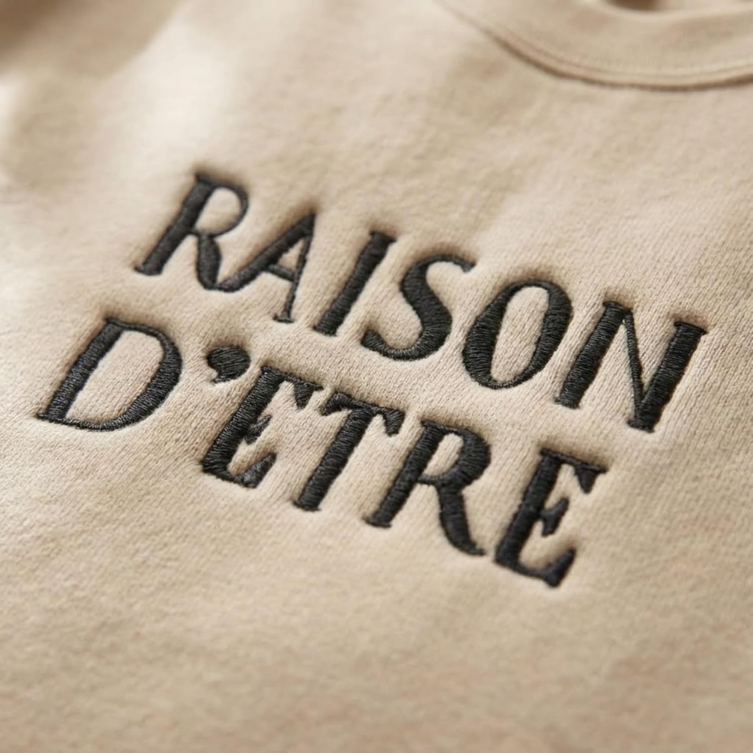 Embroidered Raison D Etre Sweatshirt, French Aesthetic Sweater, Embroidered Quote Crewneck, Raison Detre Sweater Minimal Style, Reason For Being Sweatshirt For Women - Image 4