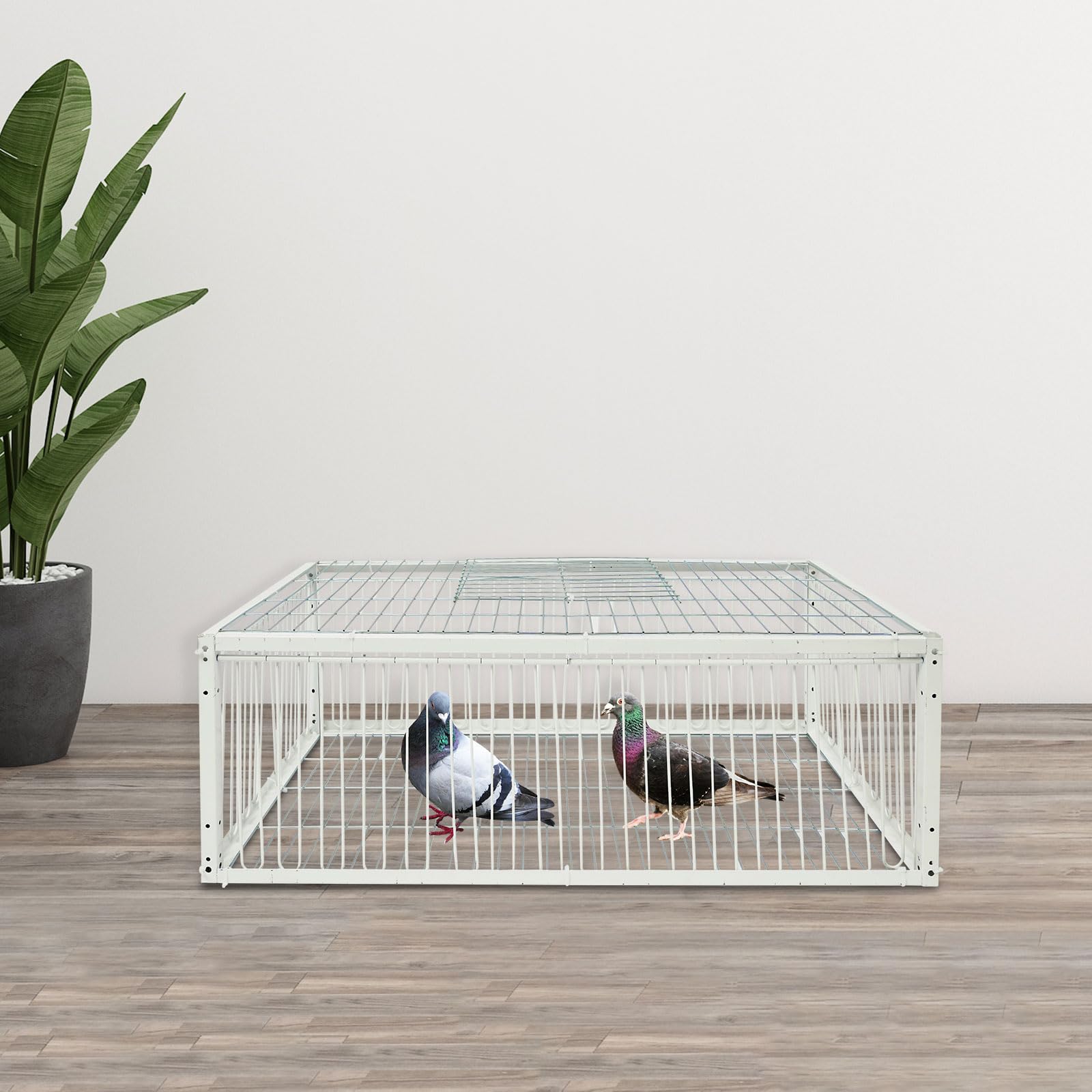 Jaula de palomas portátil resistente al escape para jardín | Diseño humano, captura sin lesiones, Techo corredizo para fácil extracción de pájaros, para techos, jardines y patios