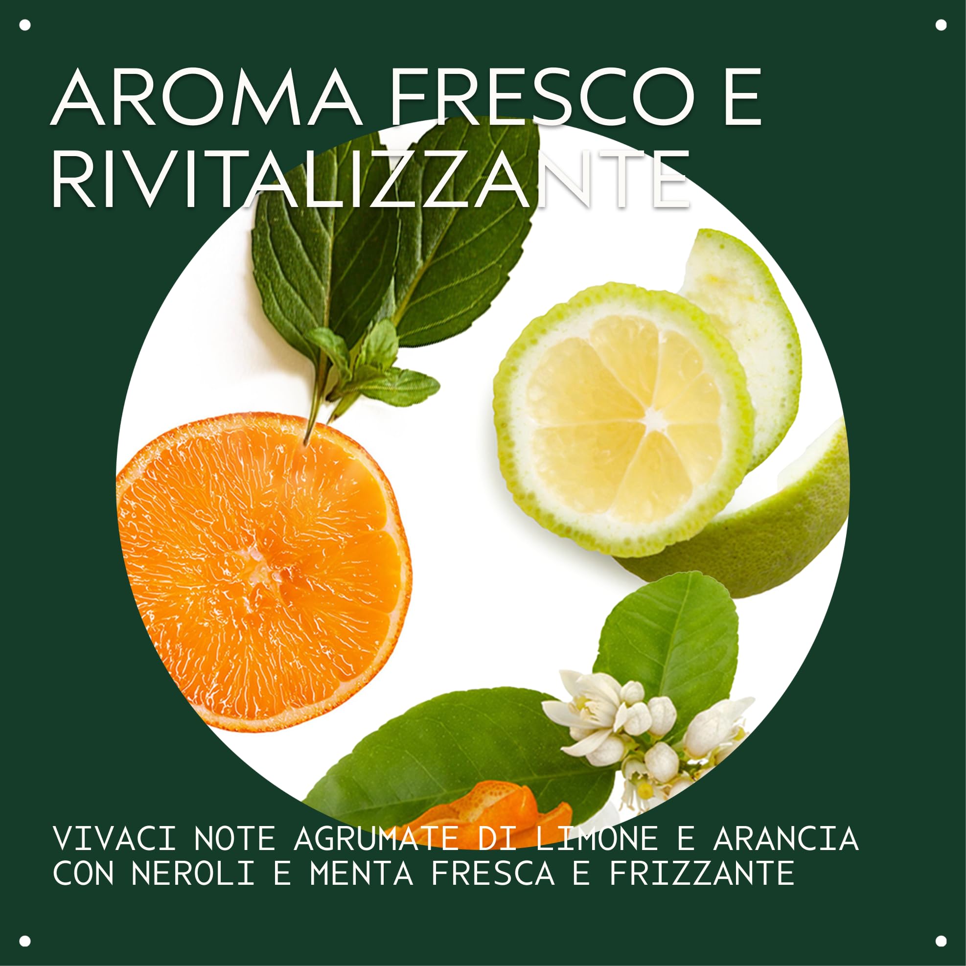 Aveda Scalp Solutions Shampoo Equilibrante - Shampoo Delicato Purificante per Tutti i Tipi di Capelli - Rimuove Inquinamento e Residui - Idrata il Cuoio Capelluto