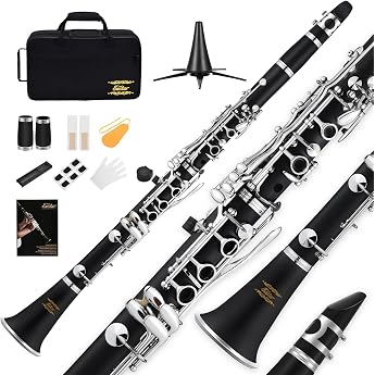 Eastar Beginner B-Clarinet Ebonite Clarinet Nickel Plated with 2 Bulbs 3 Reeds White Gloves Hard Case Cleaning Kit ECL-300