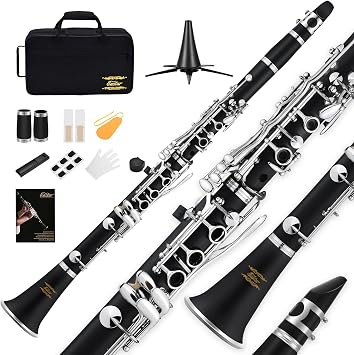 Eastar B Flat Clarinet for Beginner, Ebonite Clarinet Nickel-plated with 2 Barrels, 3 Reeds, White Gloves, Hard Case, Cleaning Kt, ECL-300