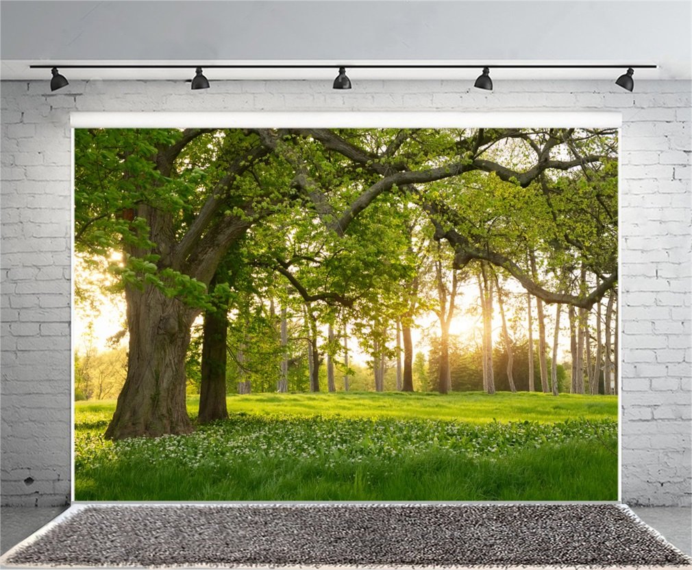 YongFoto 2,2x1,5m Vinile Sfondo Fotografico Natura Paesaggio Forest
