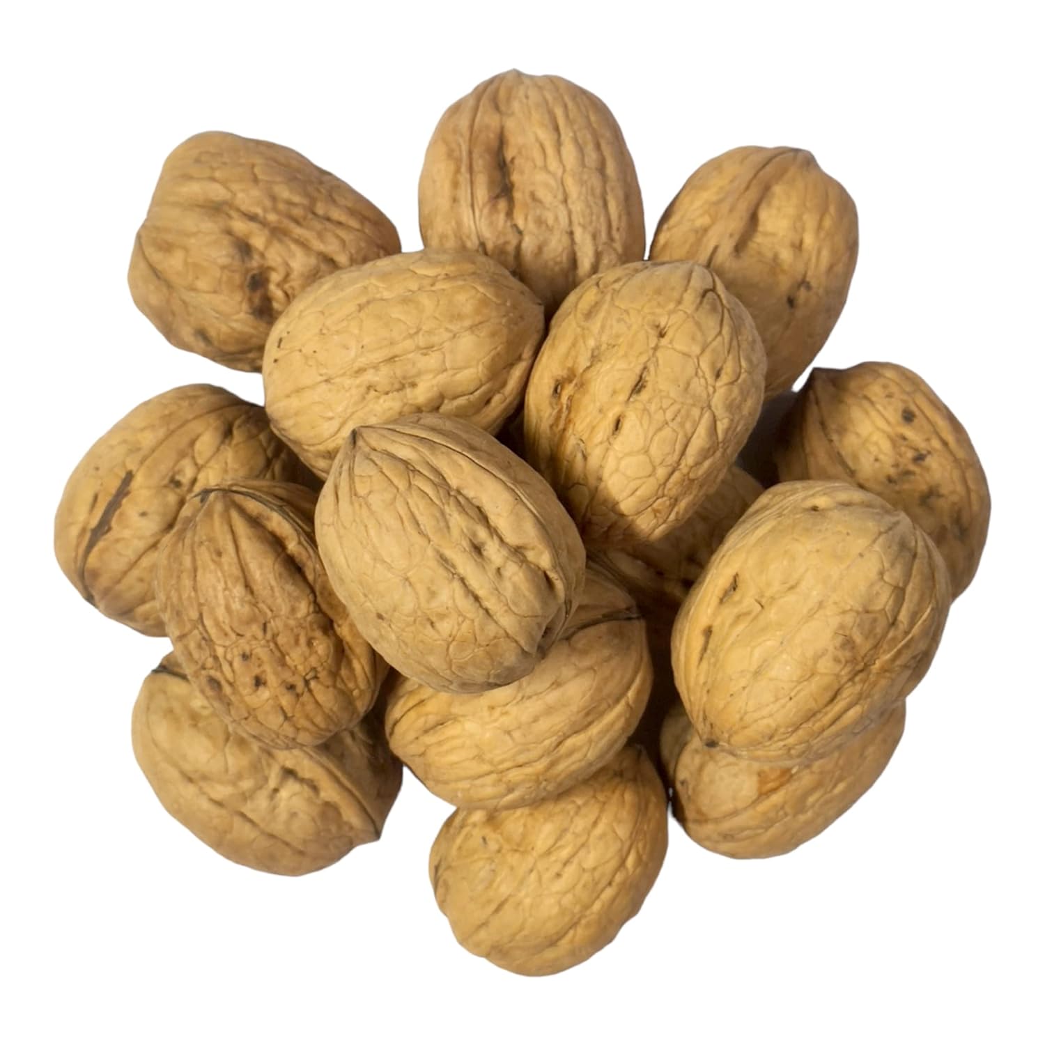 Dry Fruit Hub Walnuts 1kg With Shell Sabut Akrot New Crop Walnuts