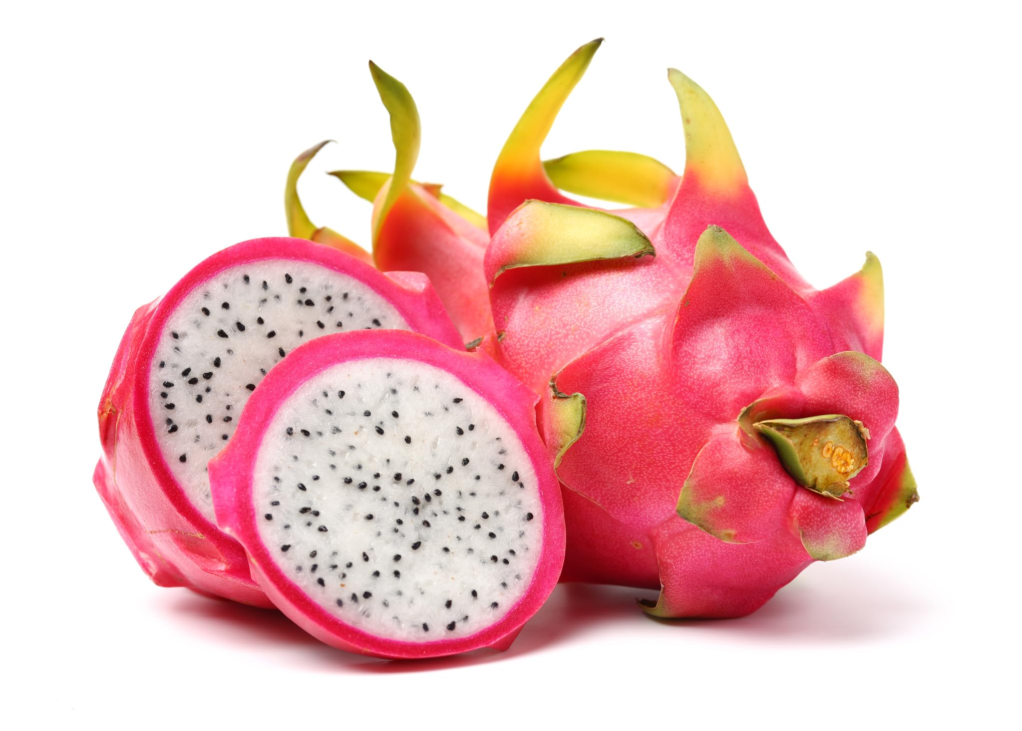 POWERS TO FLOWERS - PITAYA TRIS: GIALLA, A POLPA ROSSA e BIANCA, FRUTTO DEL DRAGO, HYLOCEREUS UNDULATUS, DRAGON FRUIT, 3 PIANTE, piante vere