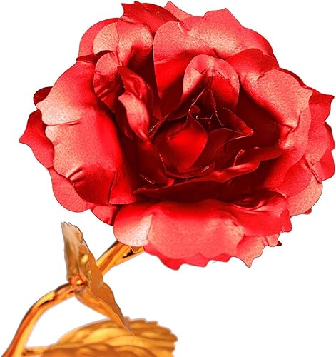 Miniatura 5 de Youngine Regalos creativos de papel de aluminio de oro de 24 quilates, regalo romántico para ella con caja, hecho a mano y Love Last Forever (dorado