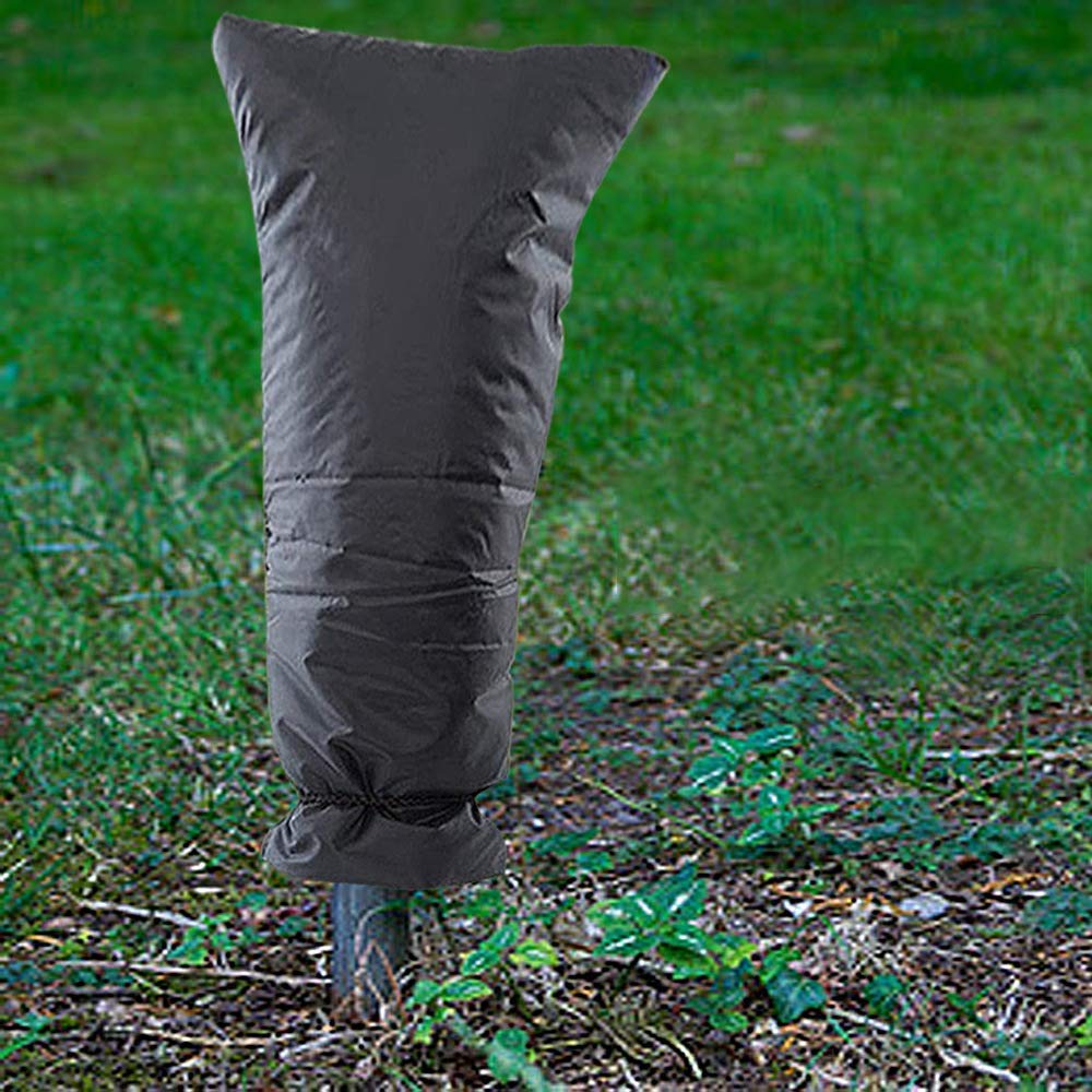 305006_3 305006_3