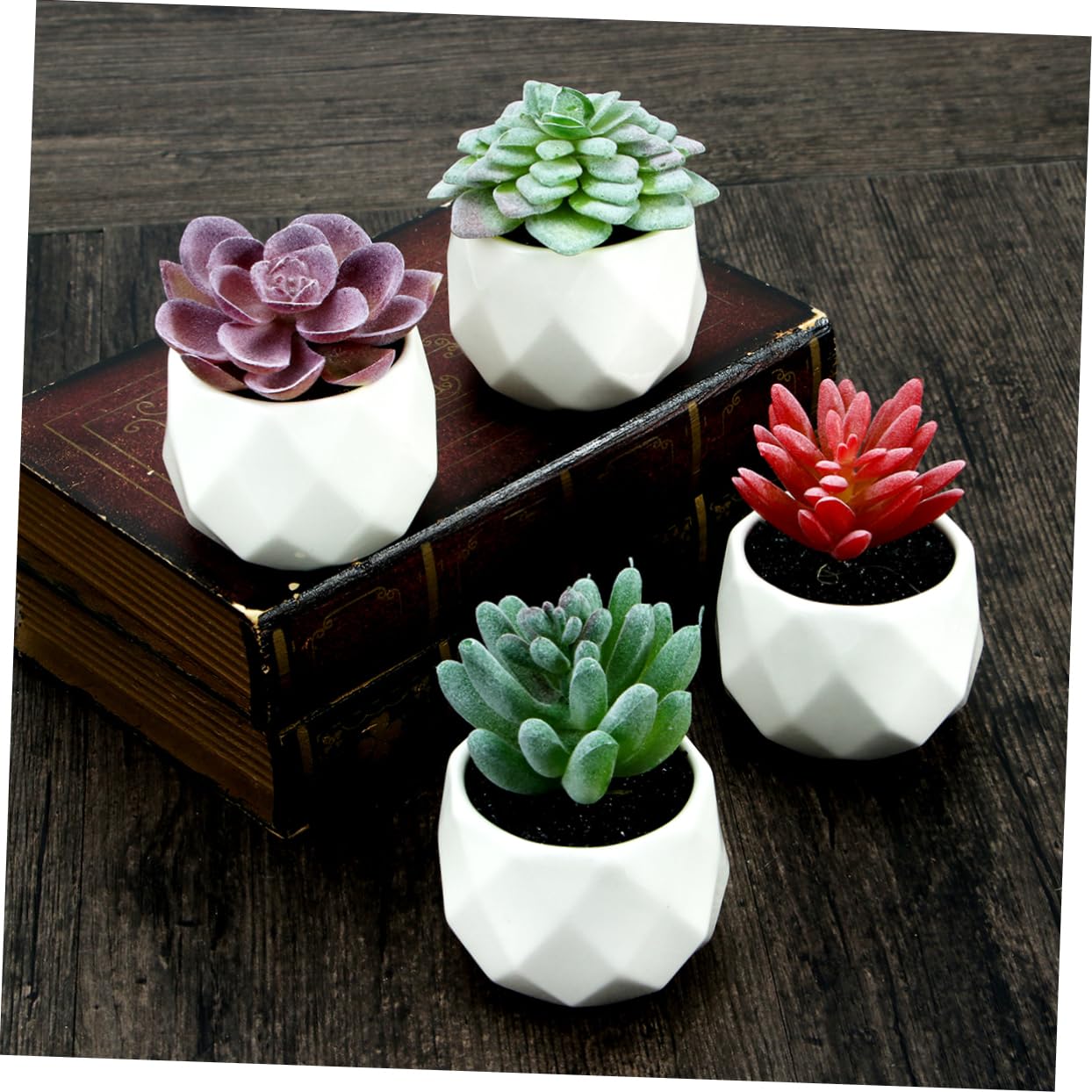 Alipis Plante Grasse Artificielle en Pot 4 Pièces, Céramique PVC | Décorations de Bureau et Comptoir, Formes Variées, Rendu Vivant, Idée Présent Créative