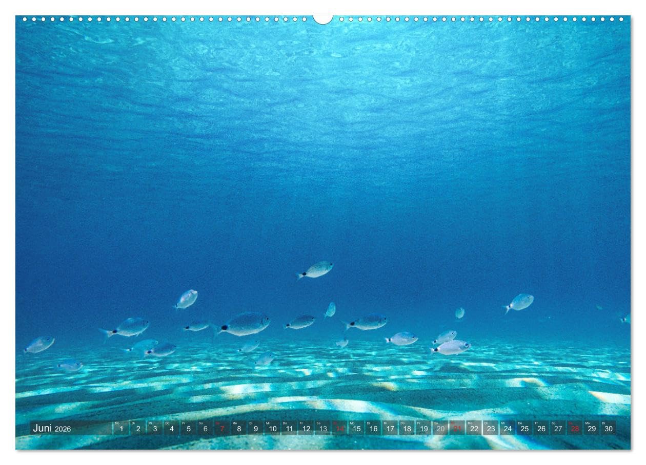 Sardinien - Karibik des Mittelmeers (Wandkalender 2026 DIN A2 quer), CALVENDO Monatskalender: Karibische Träume im Mittelmeer (CALVENDO Natur)