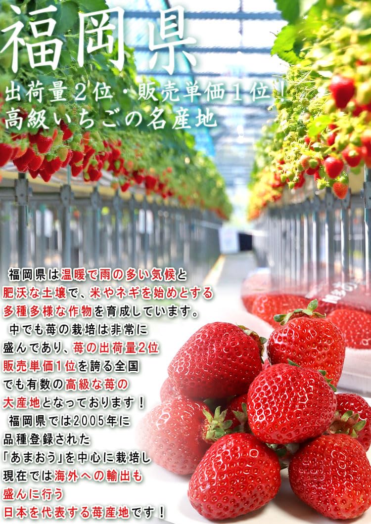 Amazon.co.jp: あまおう いちご 約280g×2パック 福岡県産 デラックス