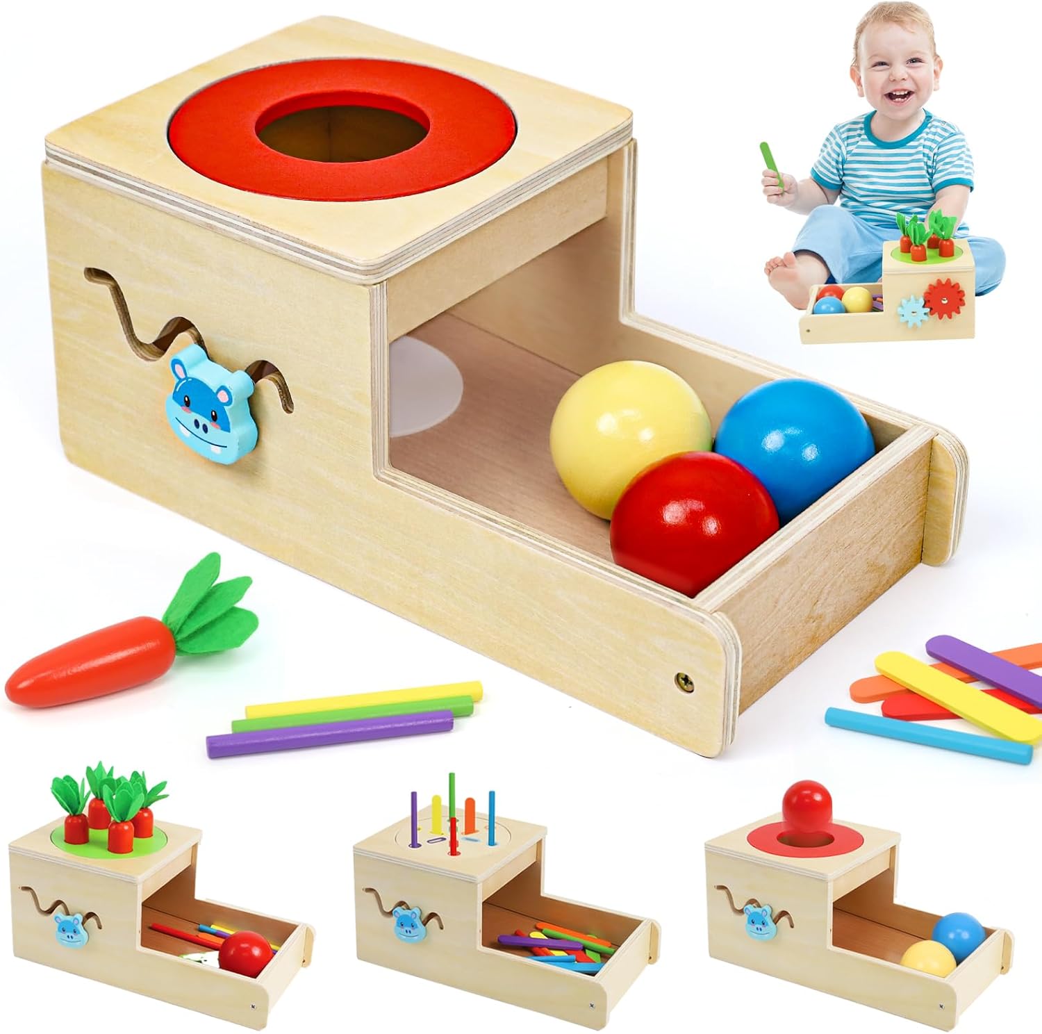 Montessori Toys for 1 Year Old, 6 in 1 Wooden Toys for Baby Boy Girl, Object Permanence Box, Color&Shape Sorting Learning Matching Game, Carrot Harvest, Preschool Educational Gift (New Coin Box)