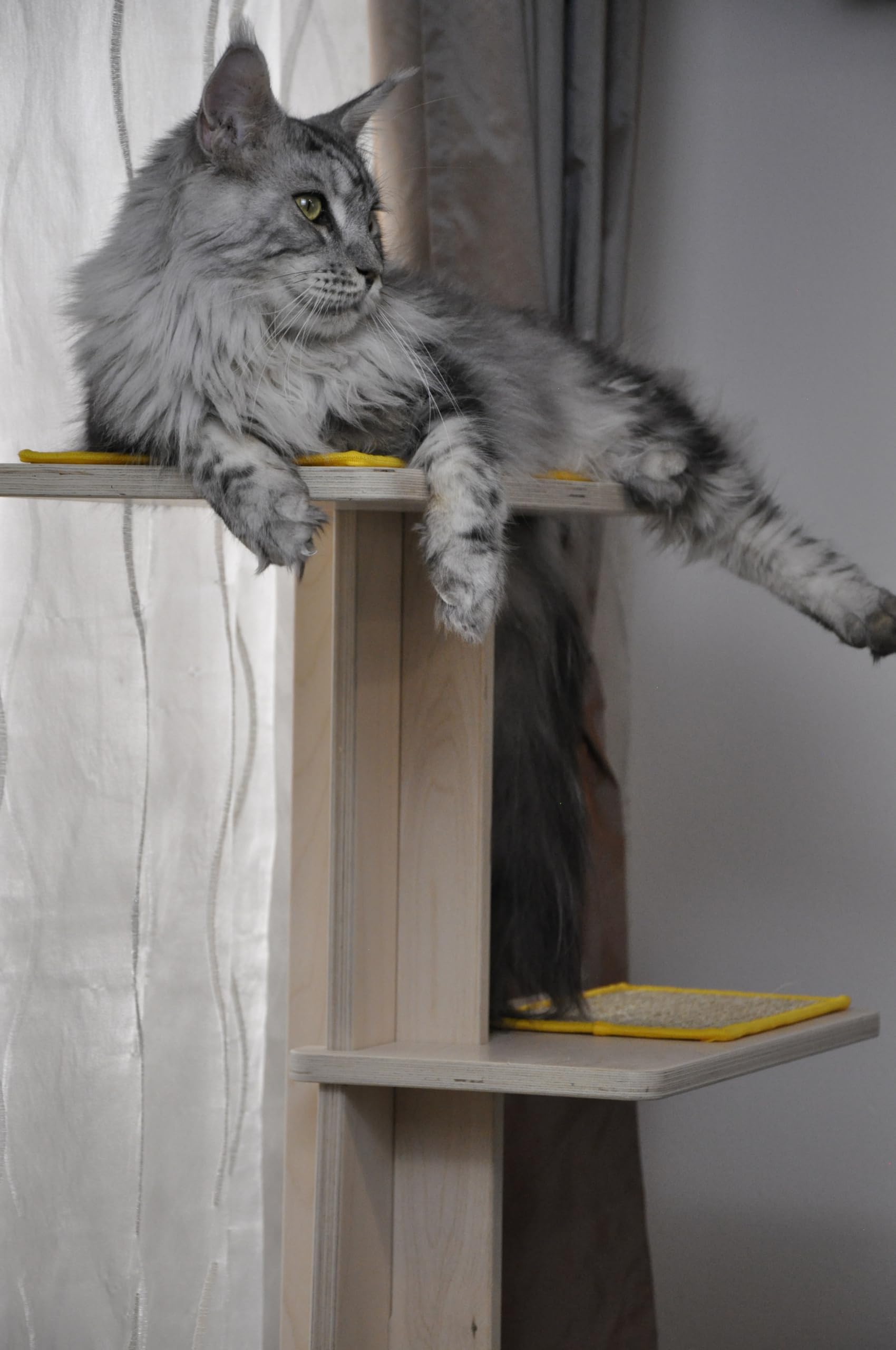 Tiragraffi Lino in Legno per Gatti, Torre Tiragraffi con Tappetini in Sisal Naturale, Torre Verticale per Affilatura Unghie Gatti
