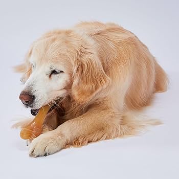 Amazon.co.jp: ペティオ (Petio) 犬用おもちゃ かんでるCORN