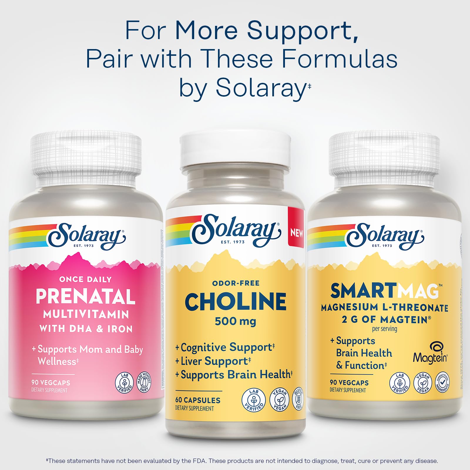 SOLARAY Choline 500 mg – Cognitive, Brain Health and Liver Support Supplement – Powerful Brain Supplement & Choline Source for Adults – Odor-Free, Vegan Liquid VegCaps – 60 Servings, 60 Capsules — Amazon image 6