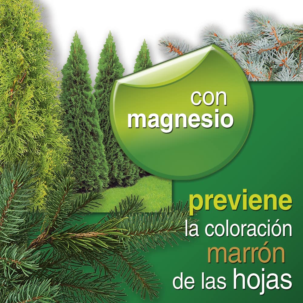 Flower - Abono Coníferas y Arbustos 4kg | Con Magnesio | Para Árboles y Arbustos Ornamentales | Previene Coloración Marrón de las Hojas, Color Único