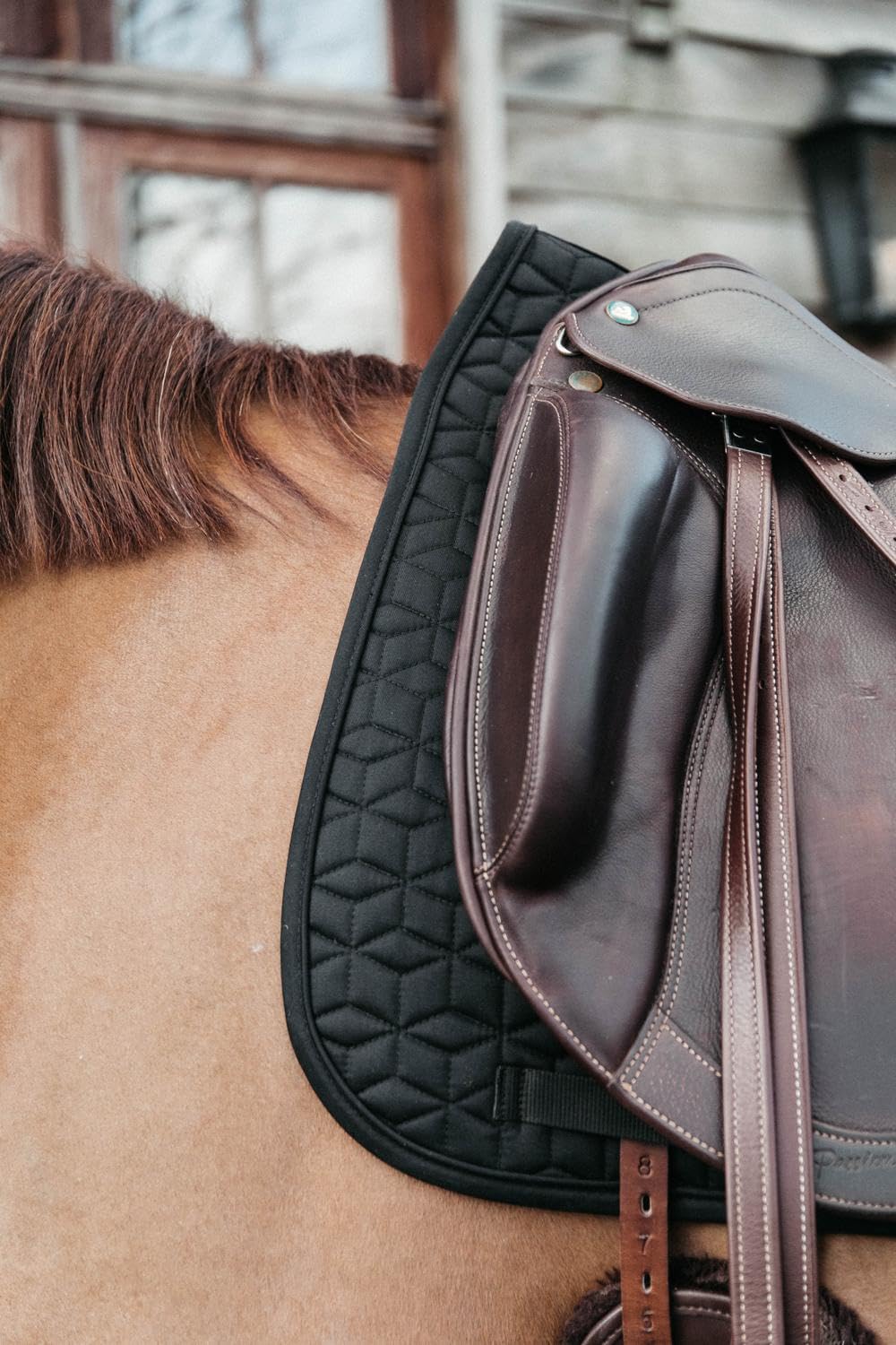 Kentucky Horsewear Basic Schabracke, Größe:Dressur, Farbe:schwarz