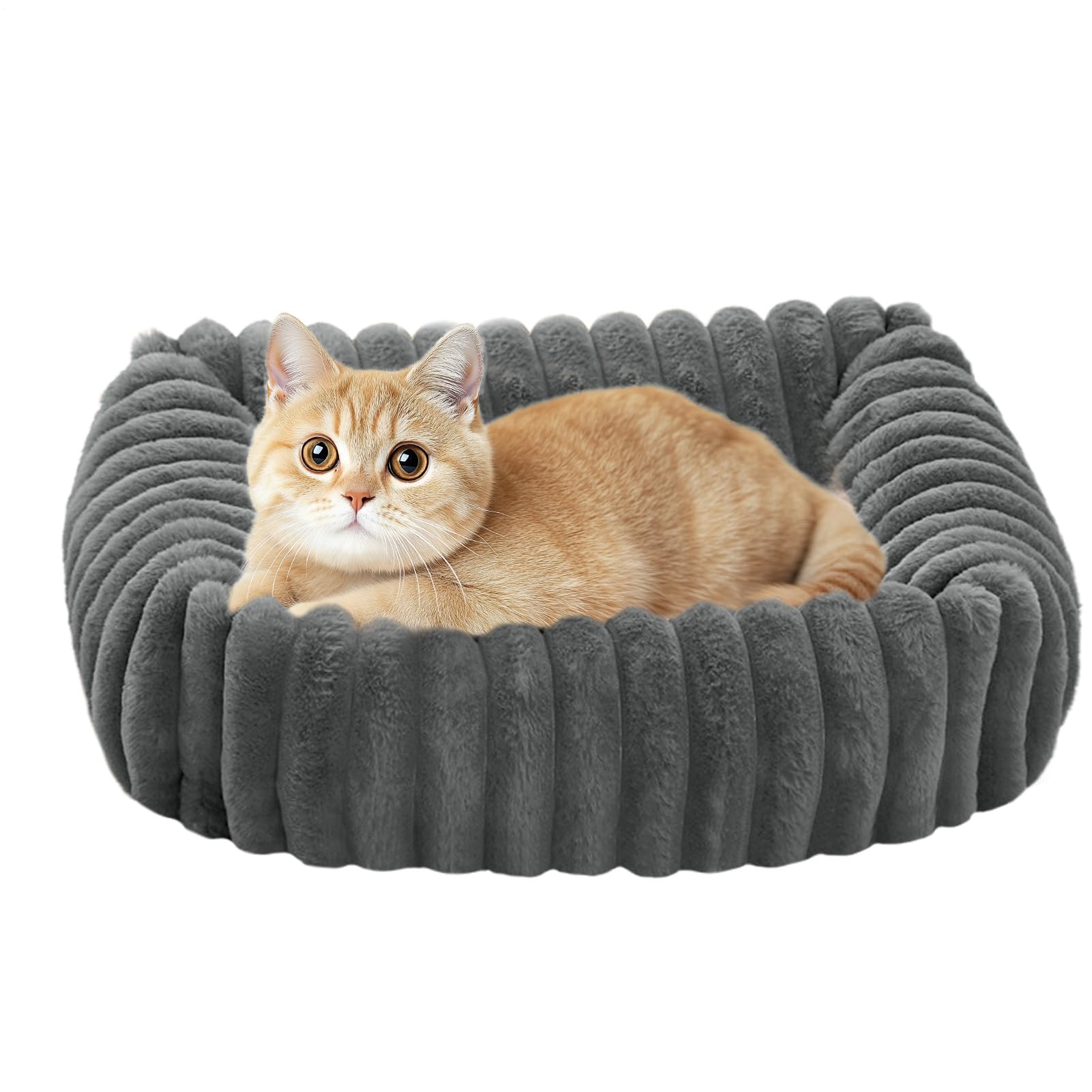 Sofá Cama para Gatos Sofá Mascota Cojín Mascota Colchoneta Cachorro | Cama Exterior Lavable Y Extraíble Para Gatos Hogar Balcón Salón Dormitorio Exterior