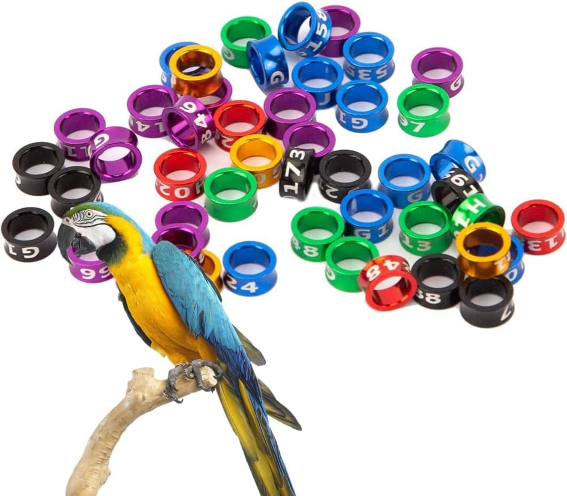 Open Bird Ring, Bird Leg Ring, Aluminum Split Ring, Pigeon Identification Tag, Mixed Color Training Ring