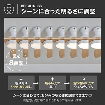 Amazon.co.jp : LOWYA ロウヤ シーリングファンライト