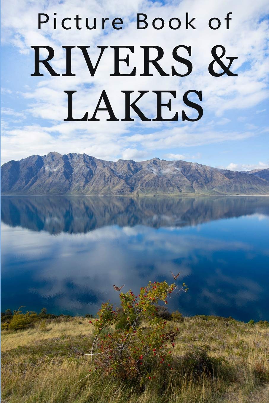 Picture Book of Rivers and Lakes: For Seniors with Dementia, Memory Loss, or Confusion (No Text): 10 (Picture Books of Nature for People with Dimentia)