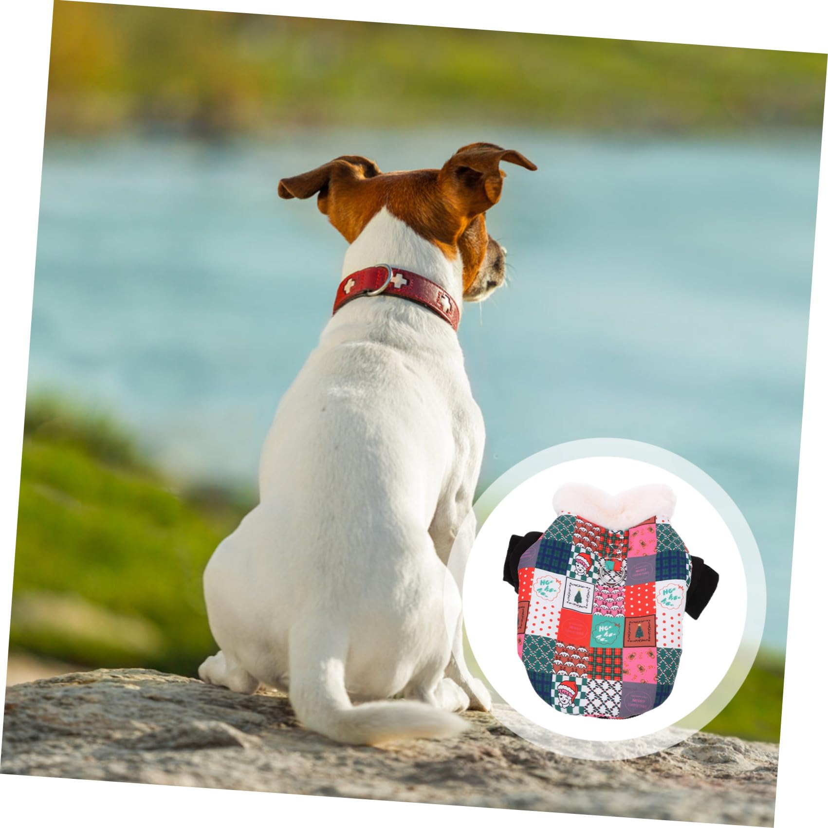 minkissy 5 Pezzi Cappotto Invernale per Cane, Caldo, Natalizio, Taglia Xs,
