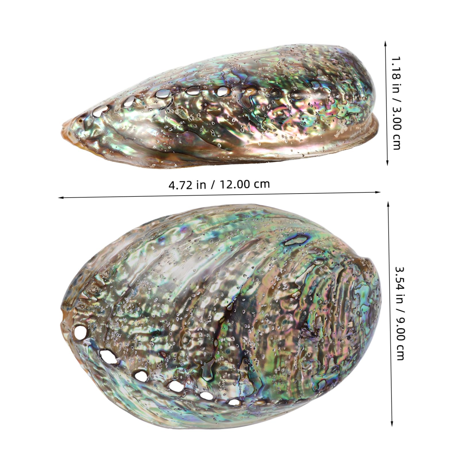 Veemoon Abalone-Meeresmuschel Accessoires,Große Abalone-Schale Für Hochzeit- Heimdekorationen DIY Decorative Accessoires Party