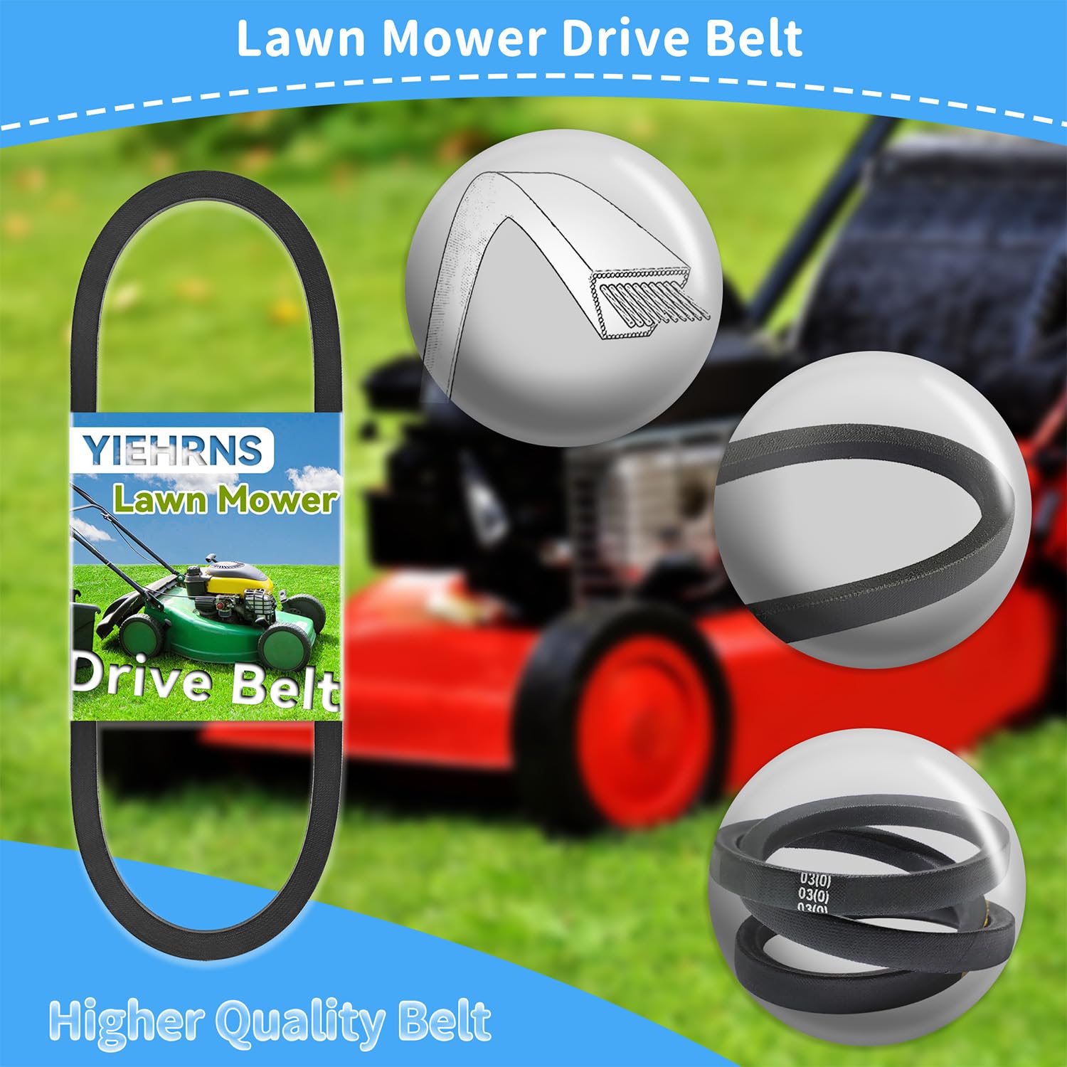 まむ！ 41MDGoyrIOL.jpg_BO30,255,255,