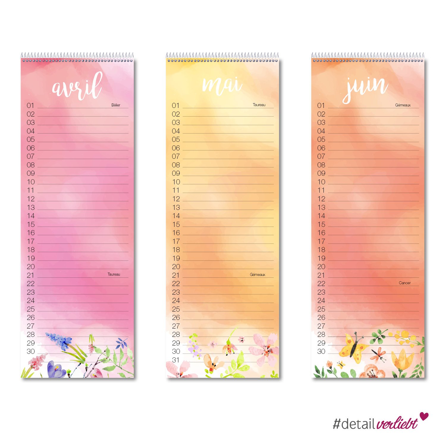 Calendrier d'anniversaire à spirales avec étoile caractères dv727