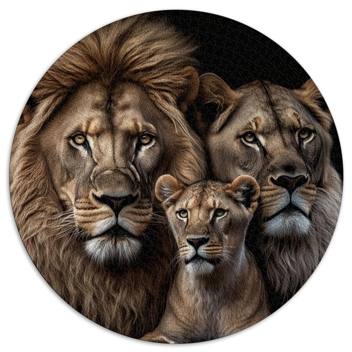 Famiglia leone su nero, puzzle da 1000 pezzi per bambini, puzzle di carta per adulti e bambini dai 12 anni, puzzle per divertimento in famiglia, 10,27 x 20,47 pollici/26 x 38 cm