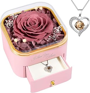 Beferr Preserved Rose with Necklace for Mom Birthday Gifts Eternal Roses Fresh Flowers for Delivery Prime Christmas Day Gifts for Her Mother Grandma Wife Sister Daughter Girl Friends