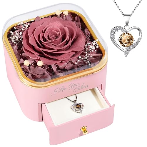 Beferr Mothers Day Forever Rose with Necklace for Mom Birthday Gifts Preserved Roses Eternal Flower for Delivery Fresh Flowers Gifts for Mother Wife Her Grandma Sister Daughter Girls Friends
