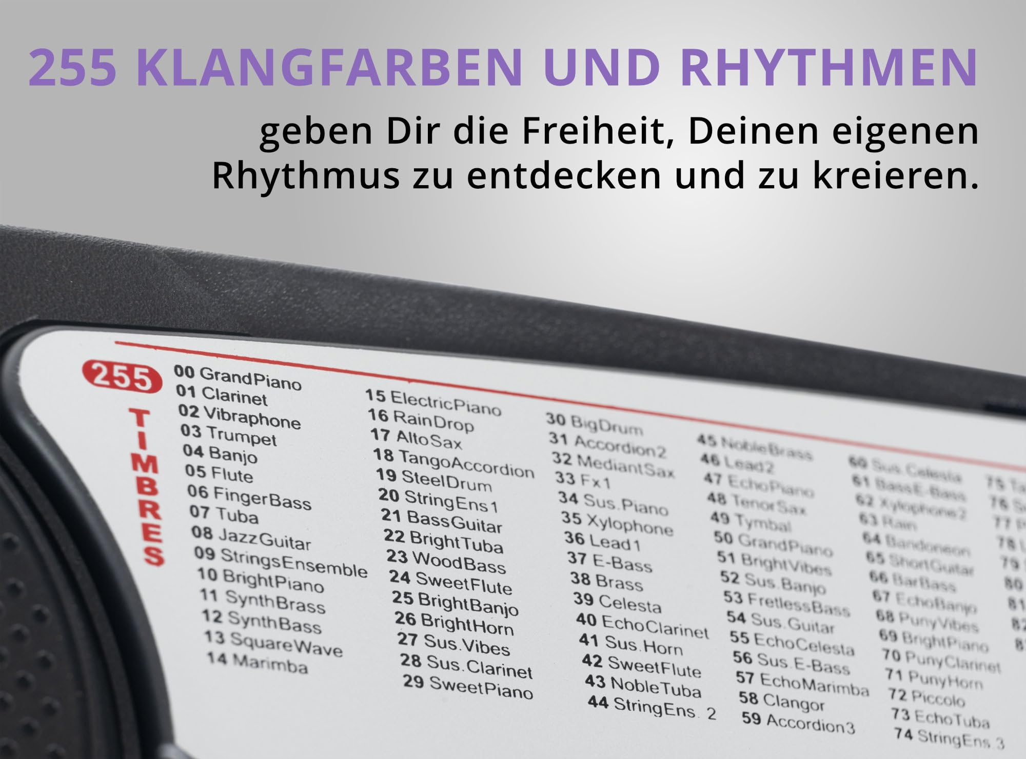 McGrey BK-5410 54 Tasten Keyboard inkl. Mikrofon zum Mitsingen (ideal für Kinder und Einsteiger, extra großes LCD-Display, 255 Sounds und Rhythmen, umfangreiche Lernfunktion, Kopfhöreranschluss) | Einsteiger-Keyboard mit 54 Tasten, LED-Display, 255 Rhythm