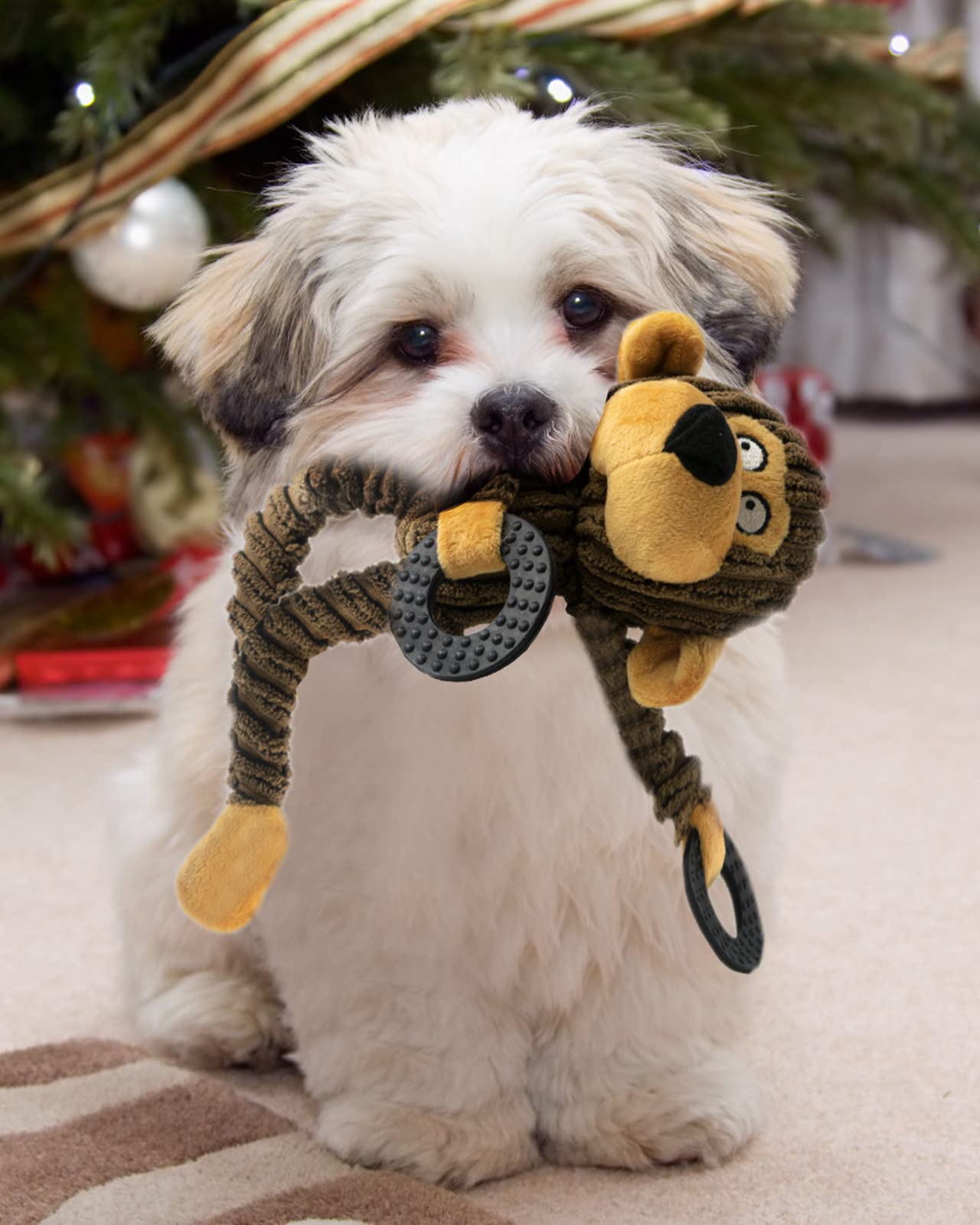 HGB Juguetes chirriantes para cachorros, juguetes masticables de peluche para dentición, juguetes para perros pequeños, juguetes para perros pequeños para razas pequeñas, lindos juguetes interactivos