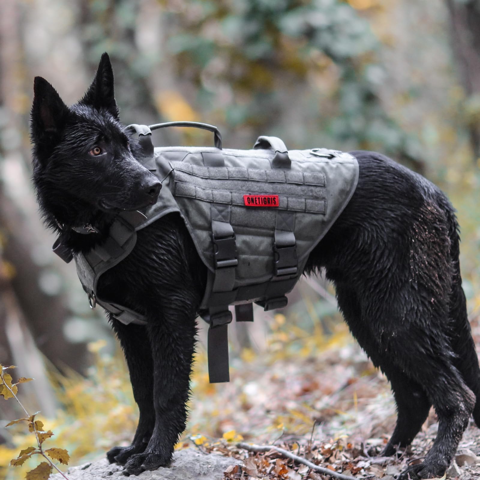 OneTigris Arnés para perros, X DESTROYER Tactical Harness Dog 3 Manijas Heavy Duty Dog Carpa con Hebillas de Metal, Arnés de seguridad ajustable para perros medianos - Gris M