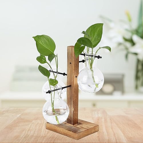 Miniatura 5 de Asixxsix Terrarios de plantas con soporte de madera, soporte retro para macetas hidropónicas de escritorio con 4 bombillas para propagar plantas