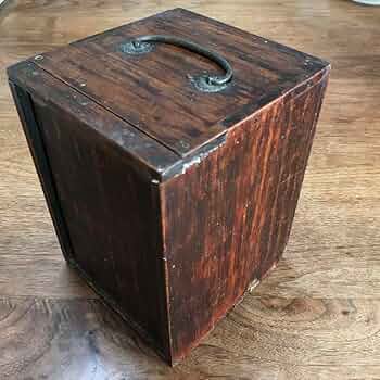 71BS9WU02QL._AC_UF350,