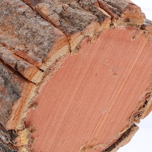 Miniatura 4 de 5 macetas rústicas de madera para plantas de interior y exterior, jarrones de corteza de árbol para decoración del hogar, jardín, patio y fiesta