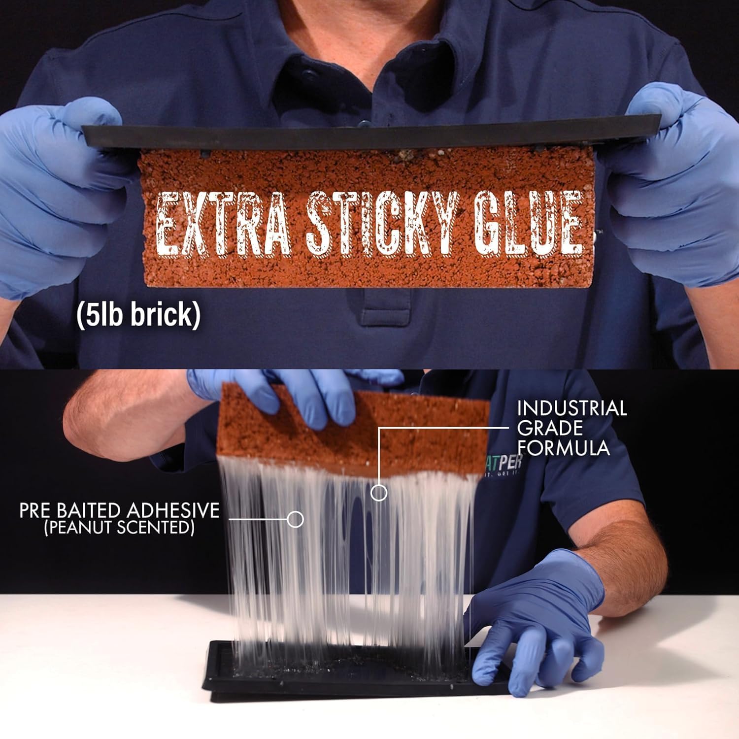 TRATPER Glue Traps for Mice,Rat,Mouse,Snake,Lizard,Insect. 20 Pack. Extra Strength,Pre-Baited Adhesive.Heavy Duty Plastic Tray.Non-Toxic,Chemical-Free Pest Control for Home. 20Pack