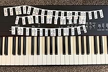 Review Image by L. Trotter L. Trotter