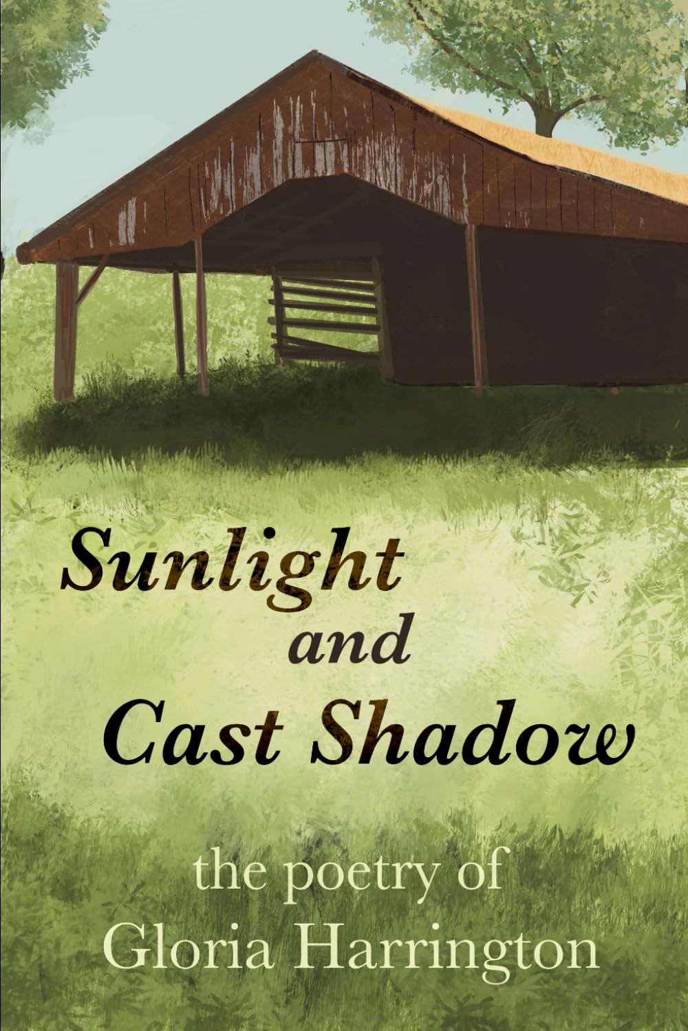 Sunlight with Cast Shadows