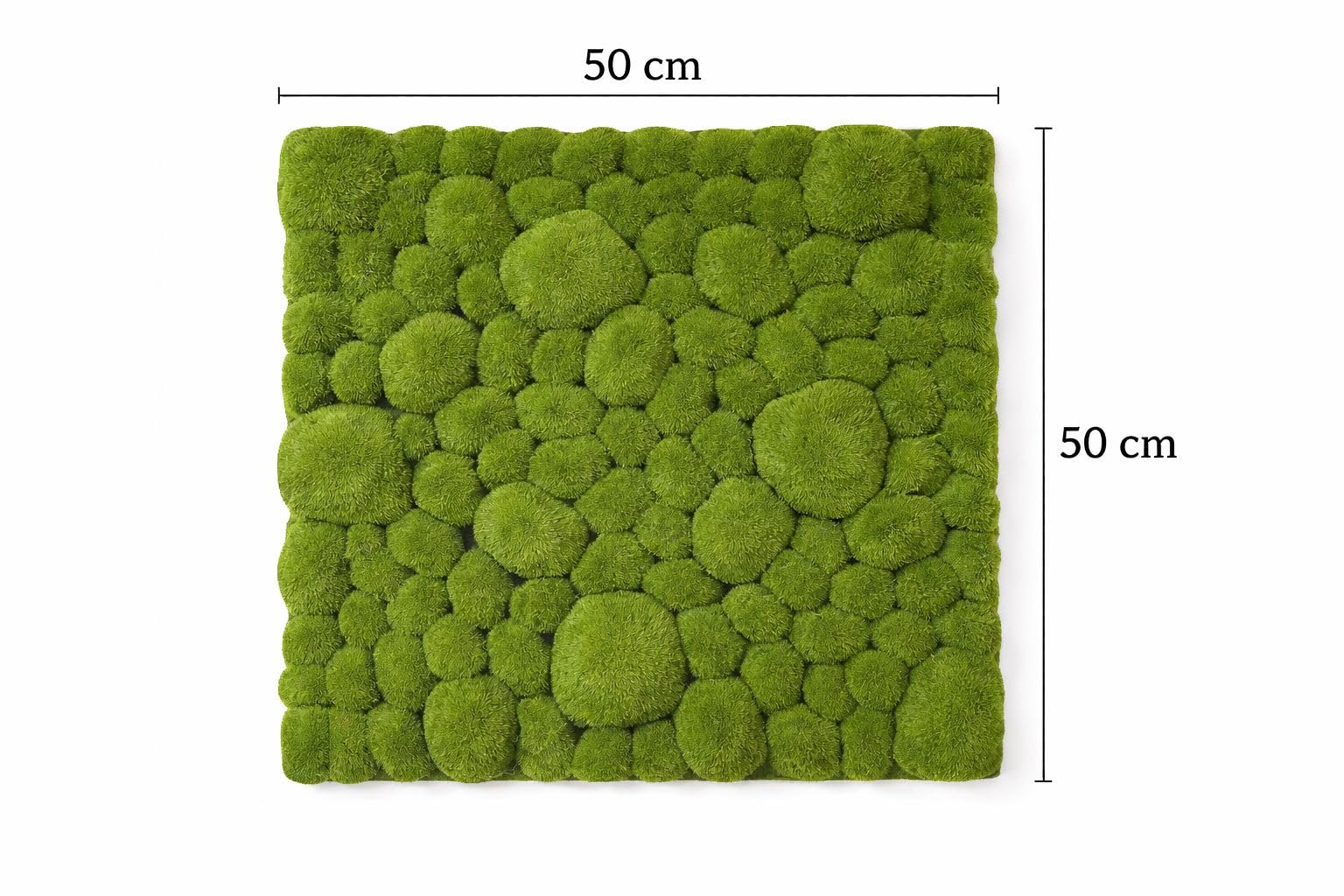Buy Verdant Moss Wall Panel 50x50 cm Premium Preserved Natural
