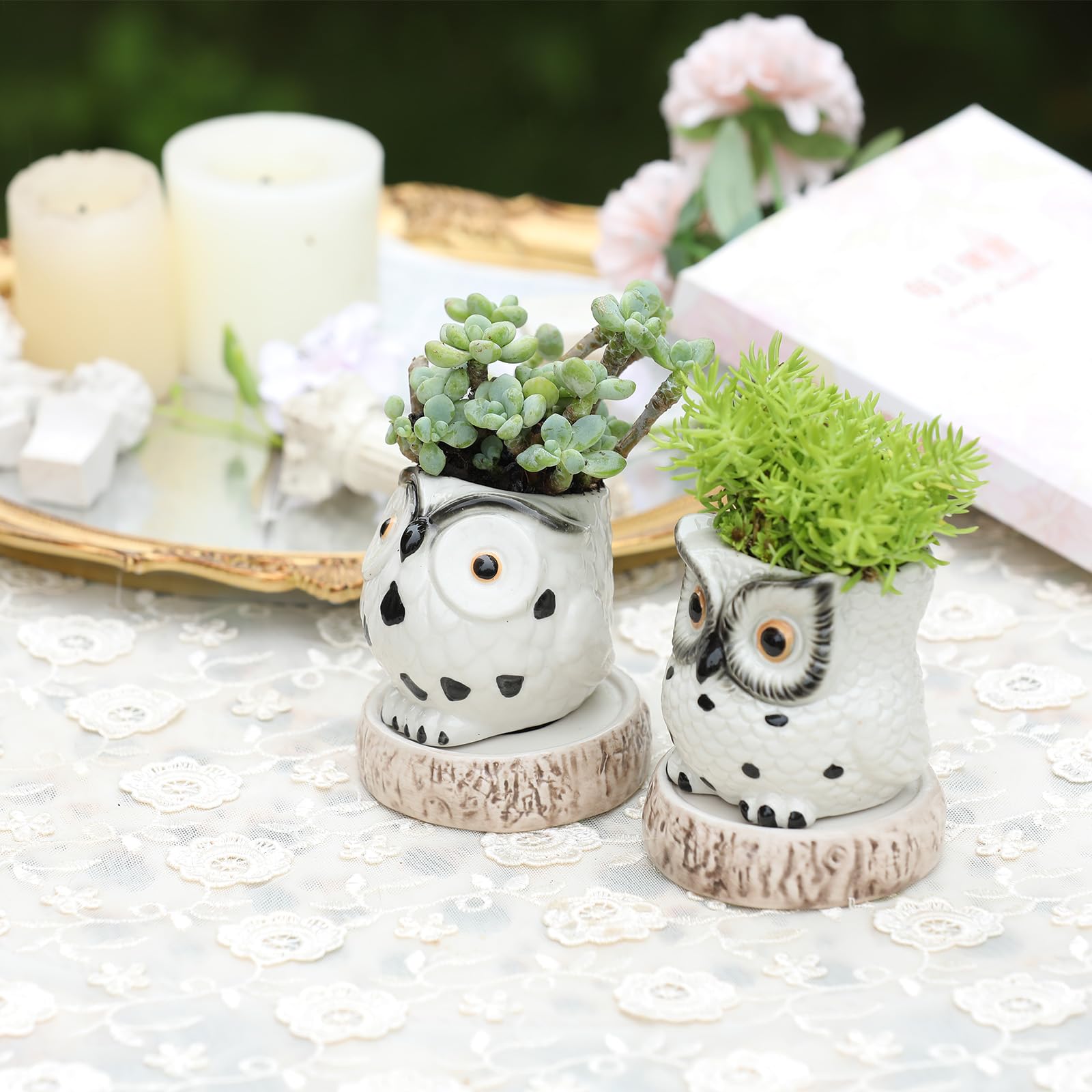 Lot De 2 Pots De Fleurs D'extérieur Pour Plantes Succulentes