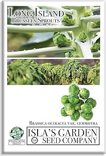 Long Island Improved Brussels Sprout Seeds (Brassica oleracea) – 200+ Non-GMO & Heirloom Seeds, Nutritious Cool-Season Vegetables for Roasting, Steaming, & Sautéing, by Isla’s Garden Seeds, Great Gift