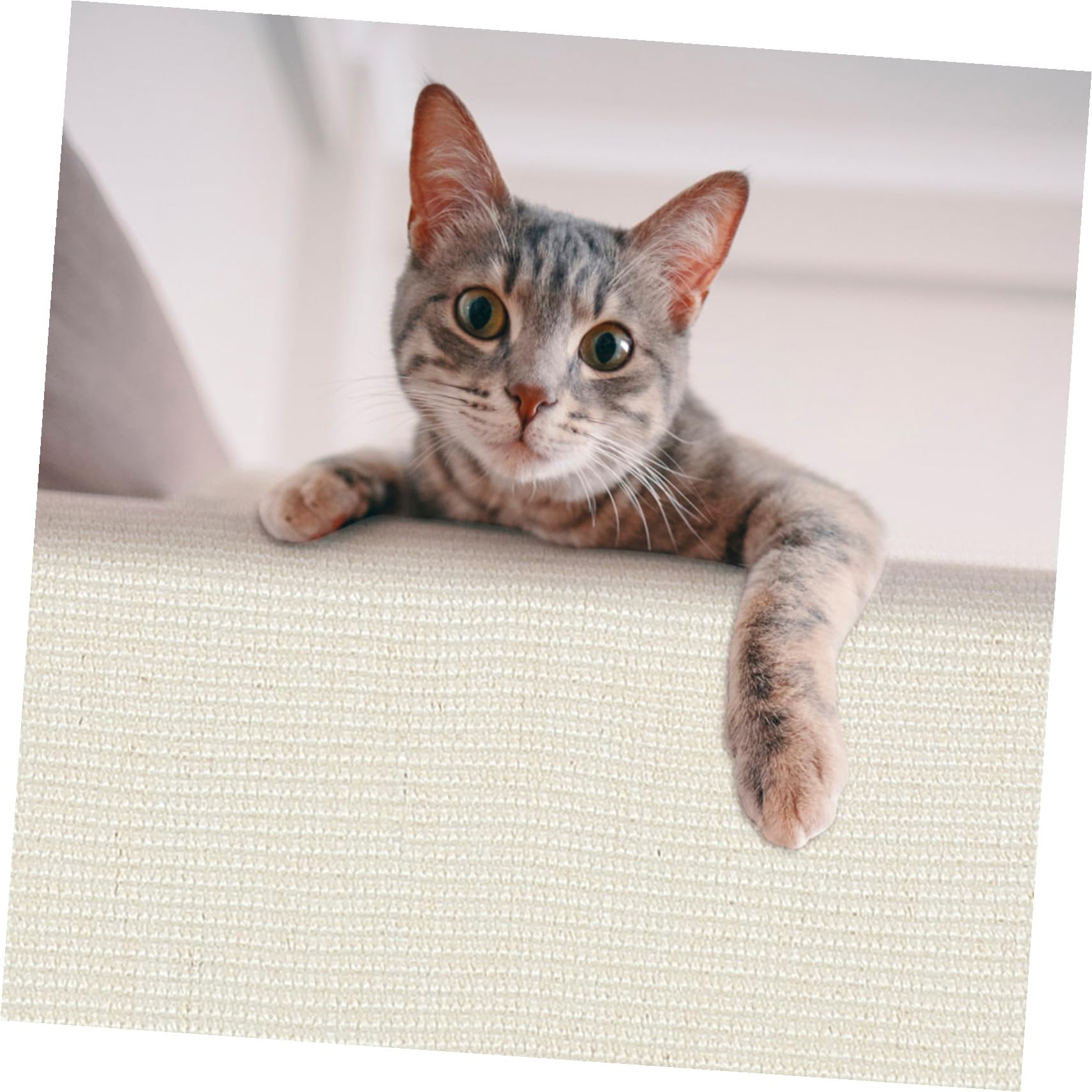 SOLUSTRE Protector contra Arañazos para Sofá de Sisal, Funda para Reposabrazos Resistente y Antiarañazos, Adecuado para Gatos en Habitaciones y Tiendas
