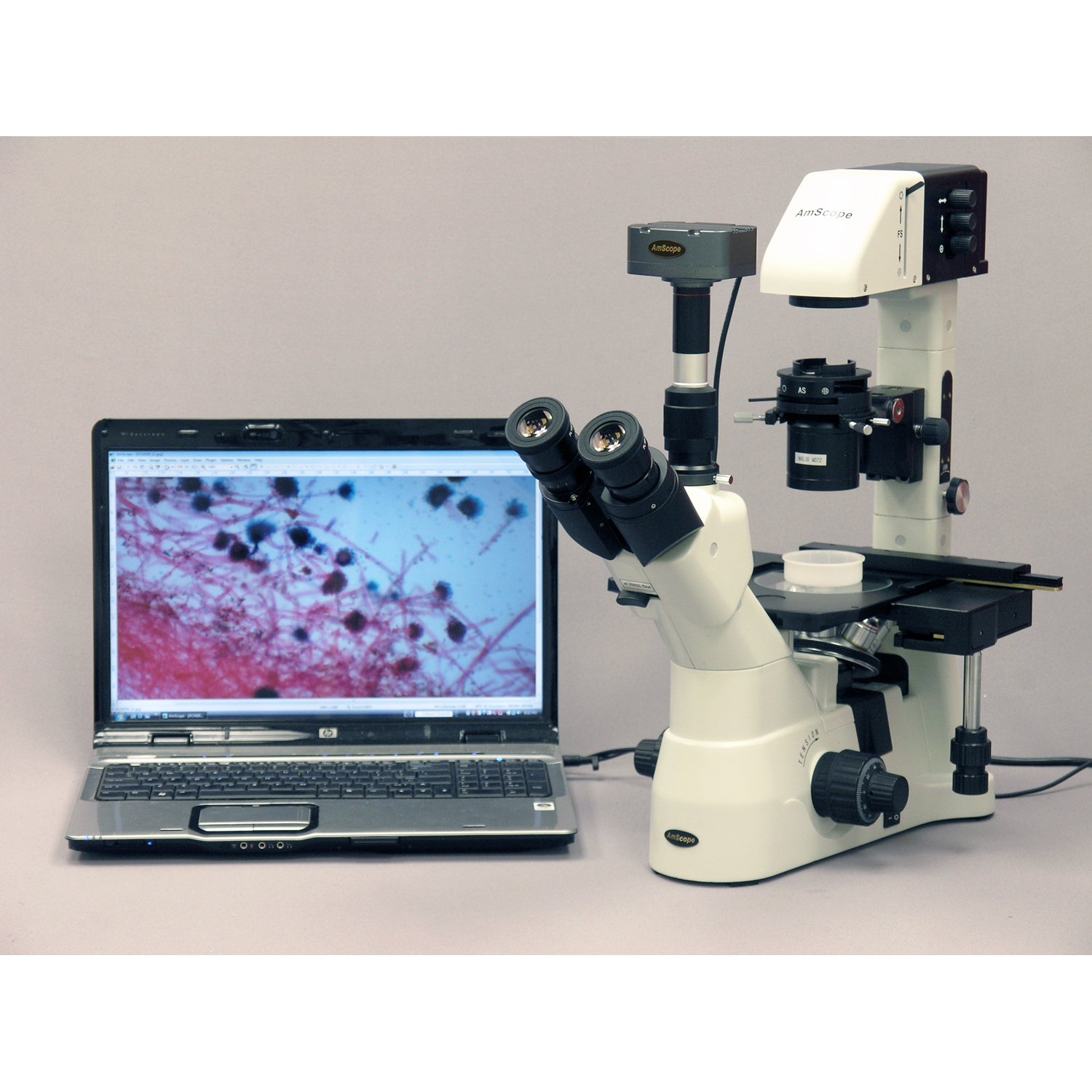 C-mara de 5.0 megap-xeles AmScope MA500 Microscopio digital compatible de Windows y Mac OS