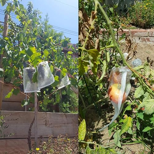 Miniatura 5 de DEARLIVES Bolsas de protección de frutas, paquete de 100 bolsas reutilizables de red de frutas de 4 x 6 pulgadas con cordón de pájaros, bolsas de
