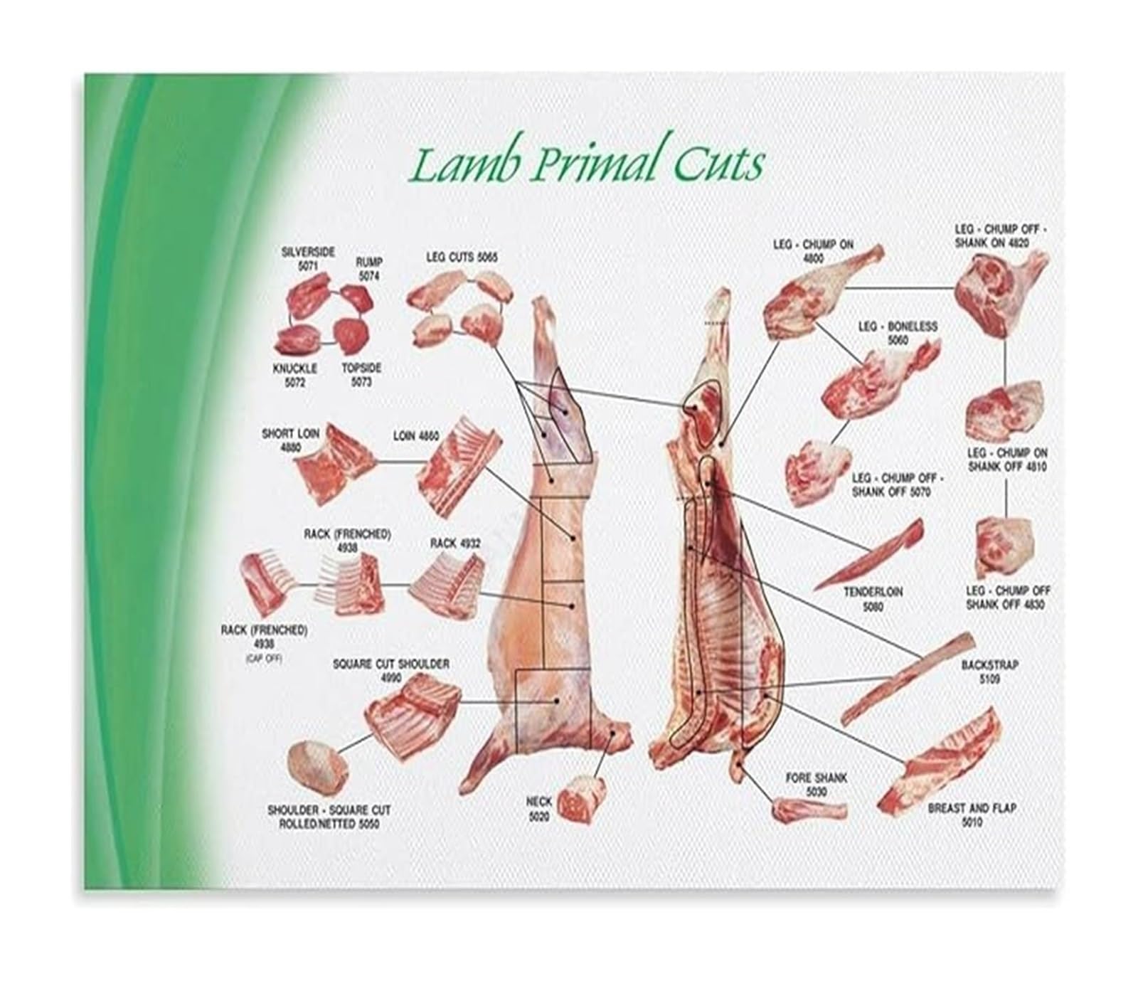 UYCUODLUY Lamb Butcher Chart Meat Cuts Reference Poster Canvas Wall-Art for Kitchen Cooking(Unframed,12x18inch(30x45cm))